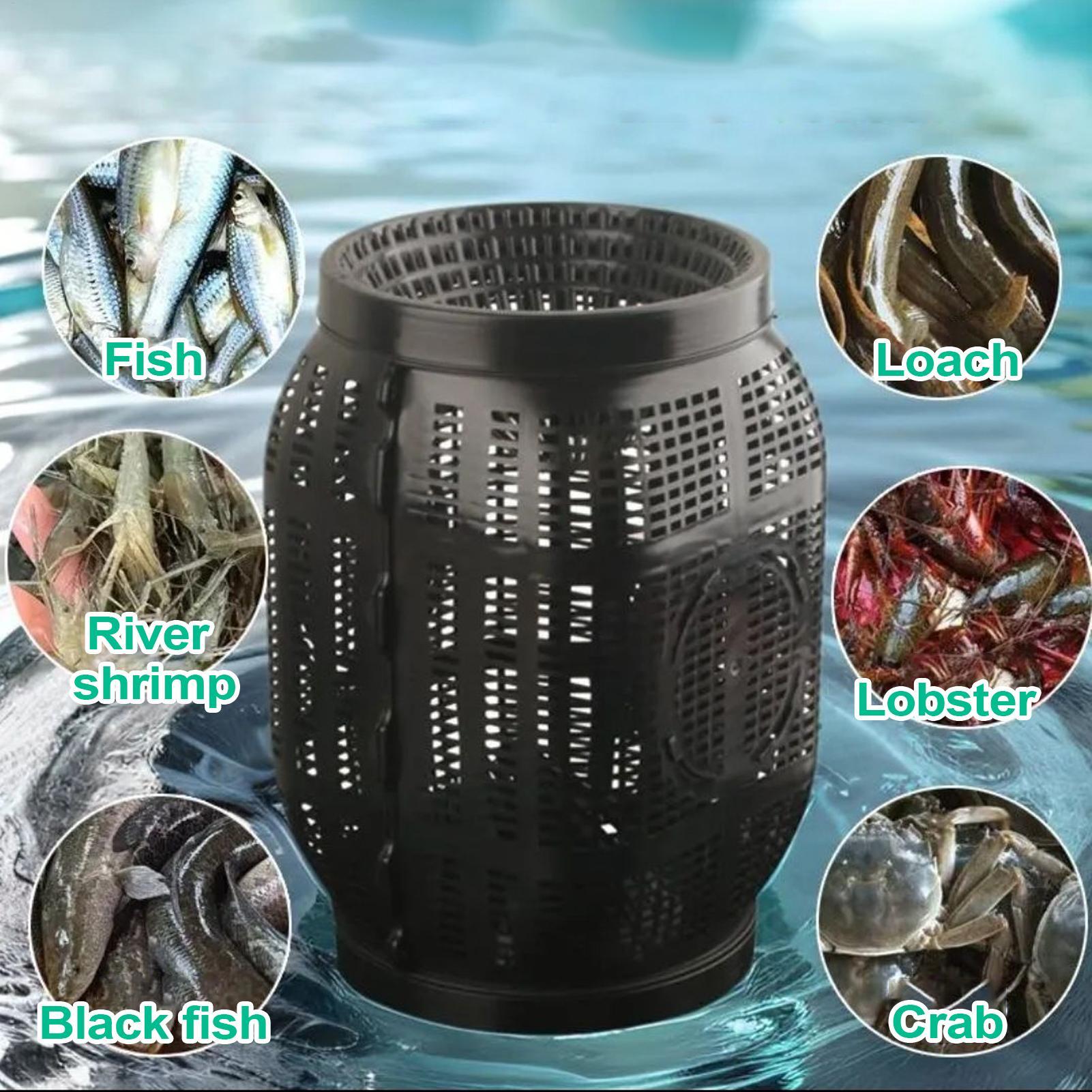 Portable Fishing Bait Trap Eel - Fishing Equipment Net recension och pris